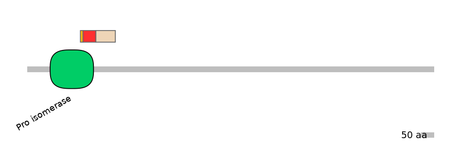 GgaEX0007291-INC