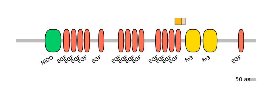 GgaEX0008548-EXC