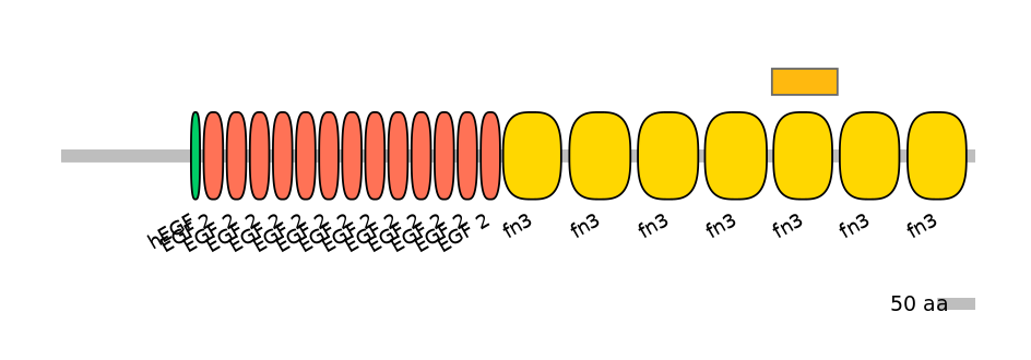 GgaEX0010153-EXC
