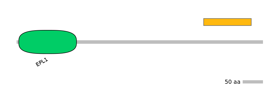 GgaEX0010253-EXC