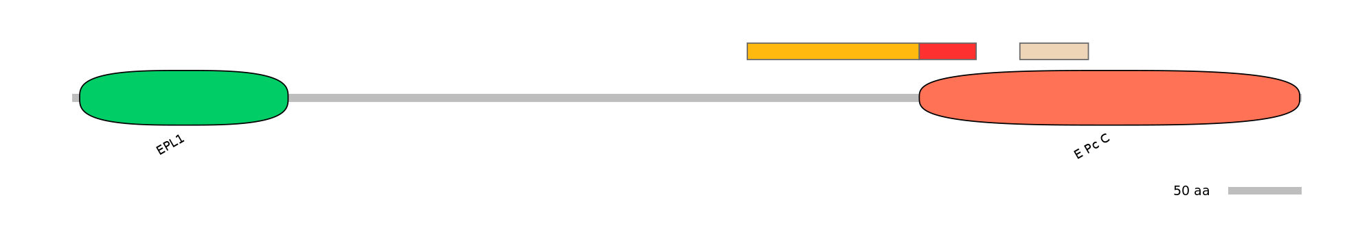 GgaEX0010253-INC
