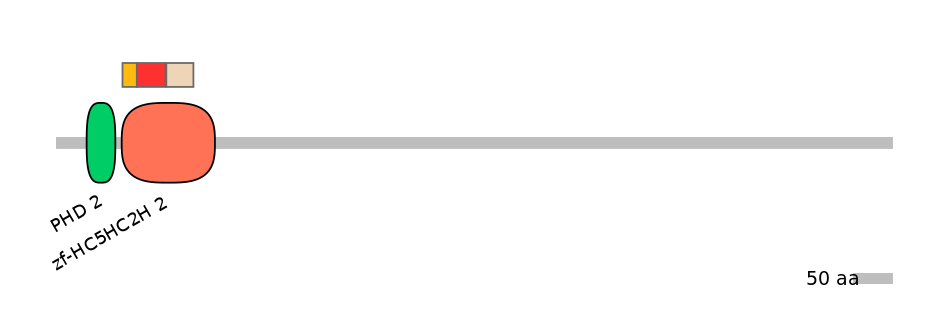 GgaEX0011303-INC