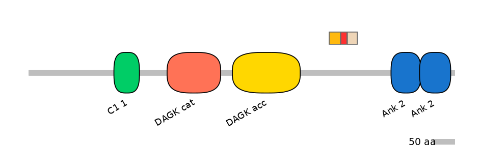 GgaEX0012167-INC