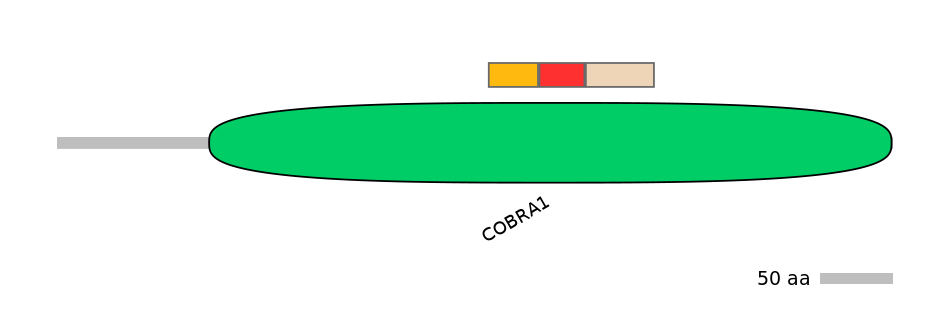 GgaEX0012468-INC
