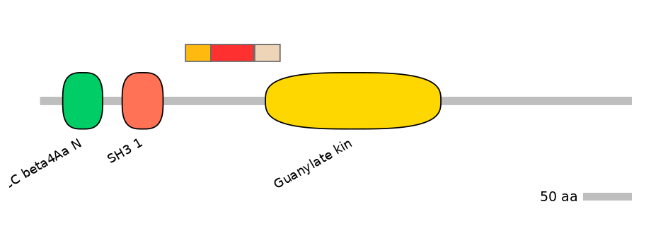 GgaEX0012565-INC