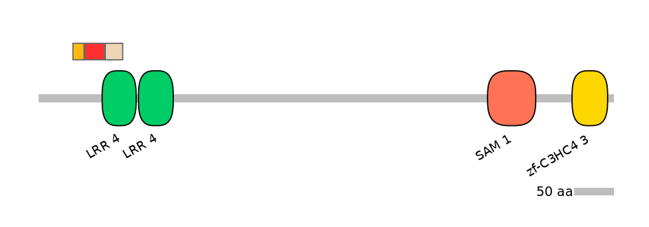 GgaEX0012878-INC