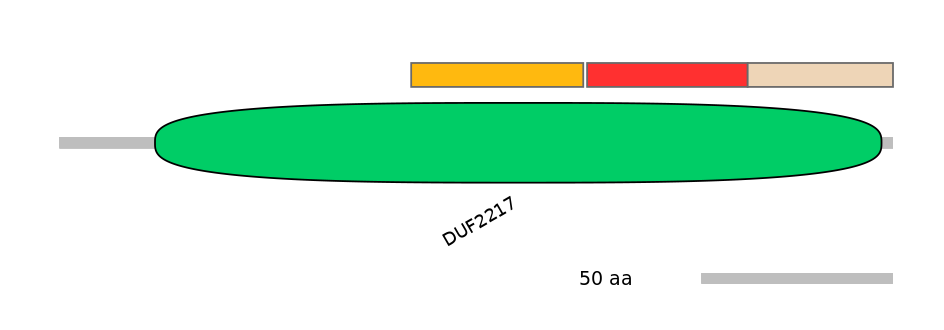GgaEX0013111-INC
