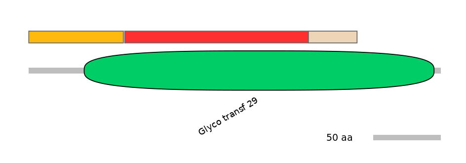 GgaEX0013258-INC