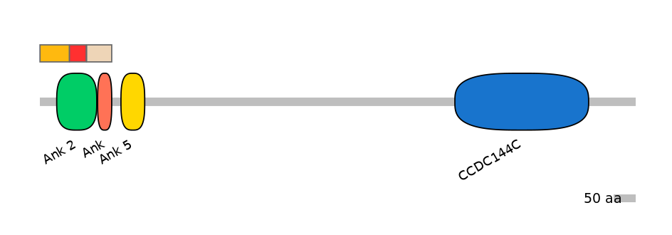 GgaEX0013380-INC