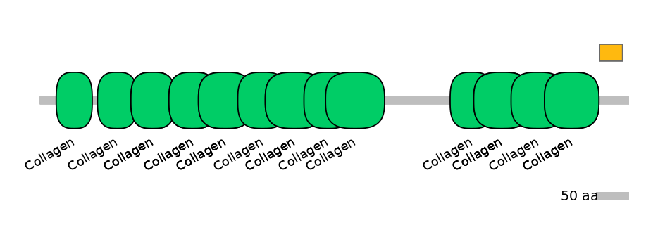 GgaEX0014275-EXC