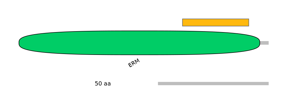 GgaEX0014398-EXC