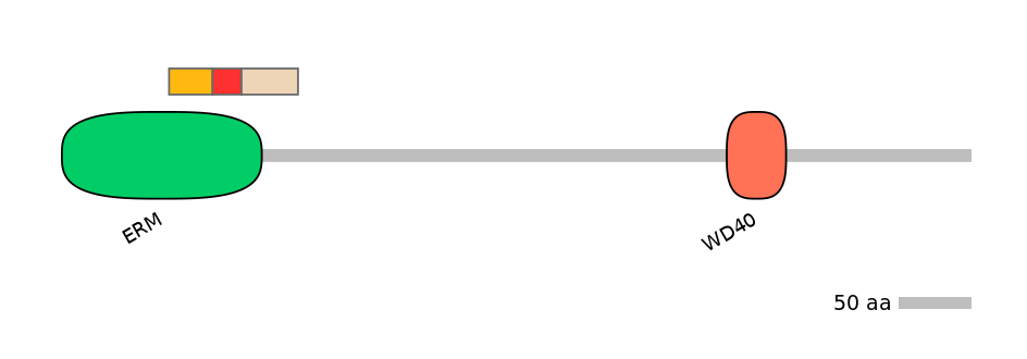 GgaEX0014398-INC
