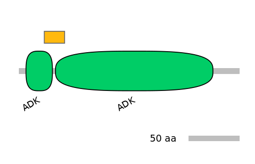 GgaEX0015654-EXC