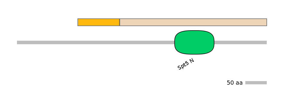 GgaEX0016437-EXC