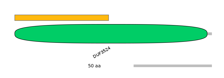 GgaEX0018793-EXC