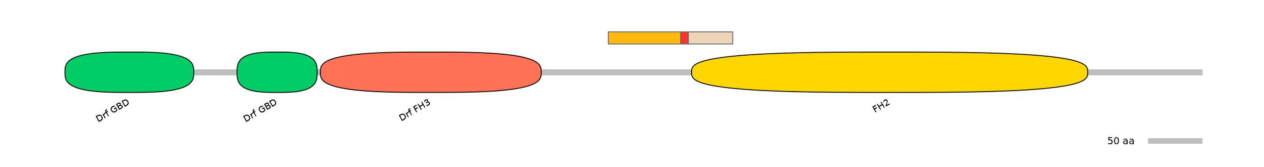 GgaEX0018931-INC