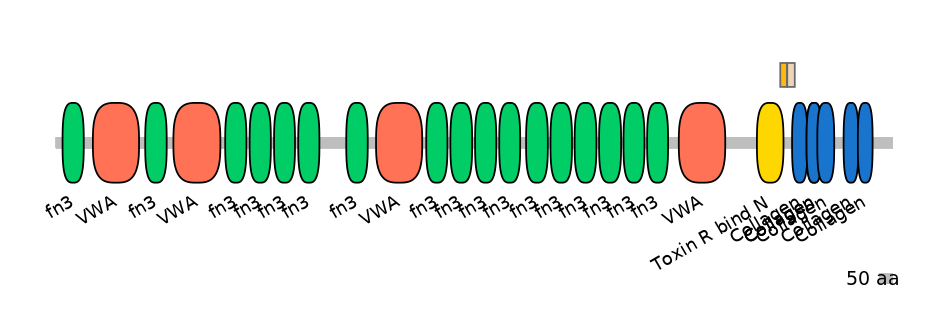 GgaEX0023390-EXC