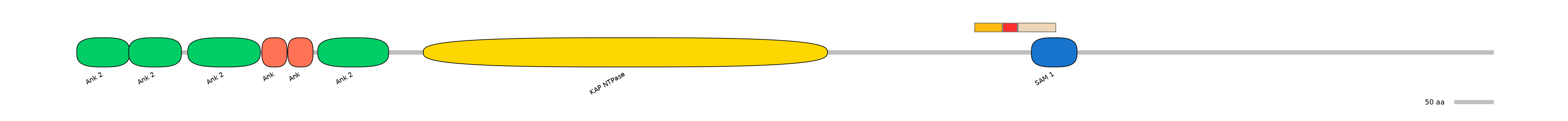 GgaEX0024219-INC