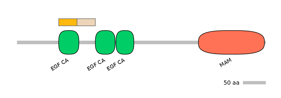 GgaEX0024563-EXC