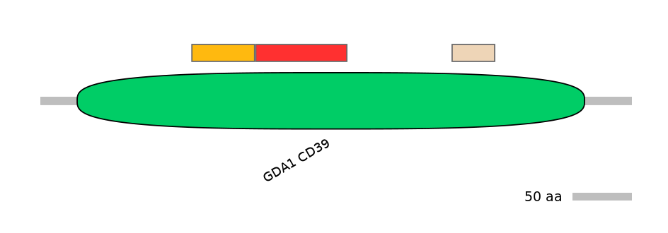 GgaEX0027575-INC