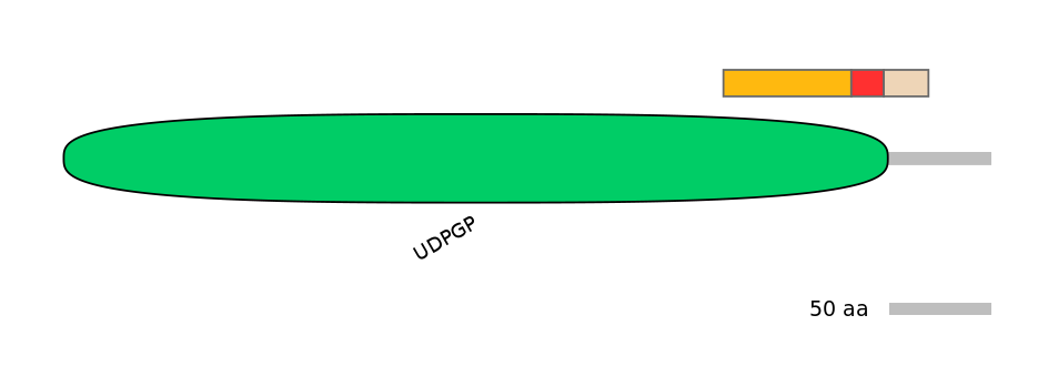 GgaEX0029067-INC