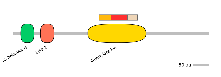 GgaEX1012548-INC