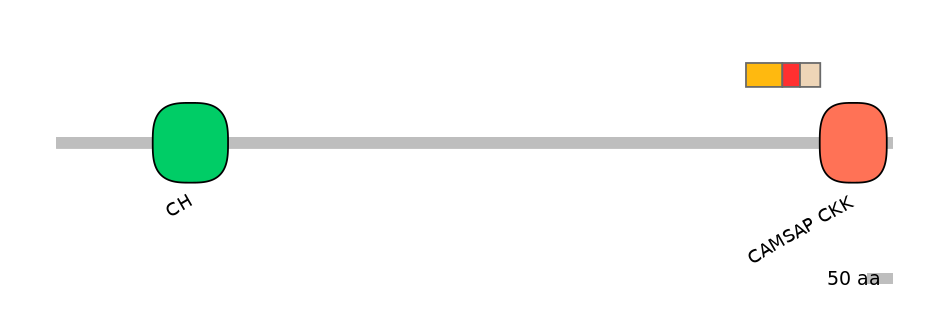 GgaEX1012718-INC