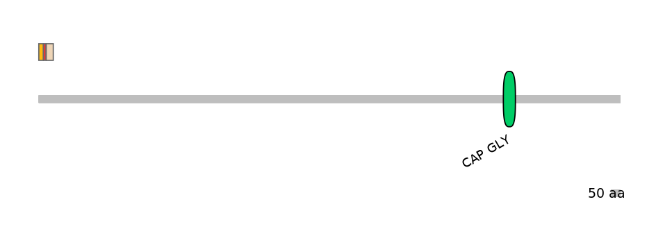 GgaEX1014798-INC