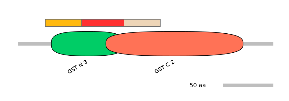 GgaEX1015722-INC
