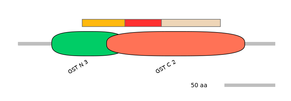 GgaEX1015723-INC