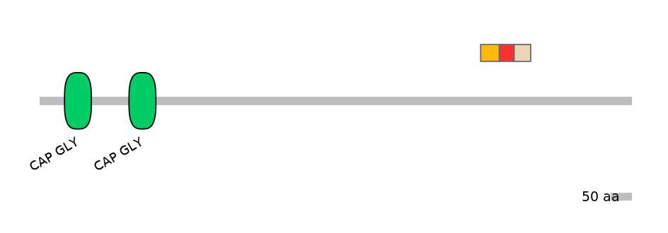 GgaEX1015737-INC