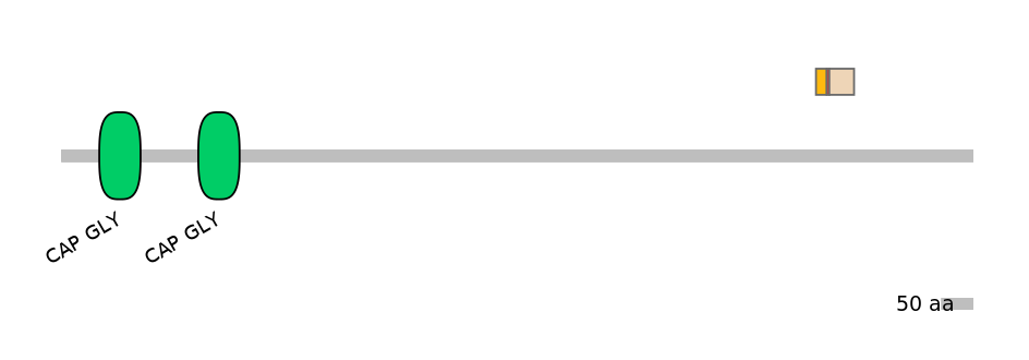 GgaEX1015741-INC