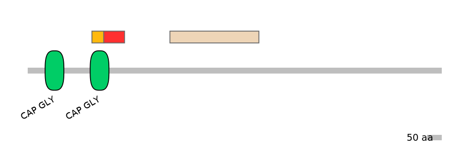 GgaEX1015743-INC