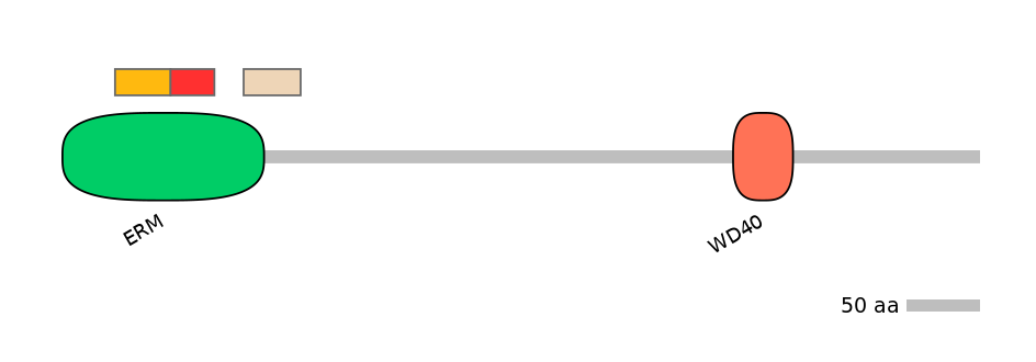 GgaEX1021291-INC