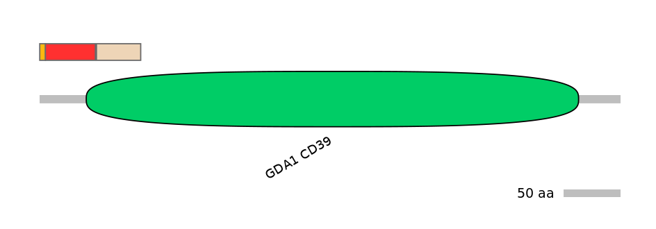 GgaEX1022490-INC