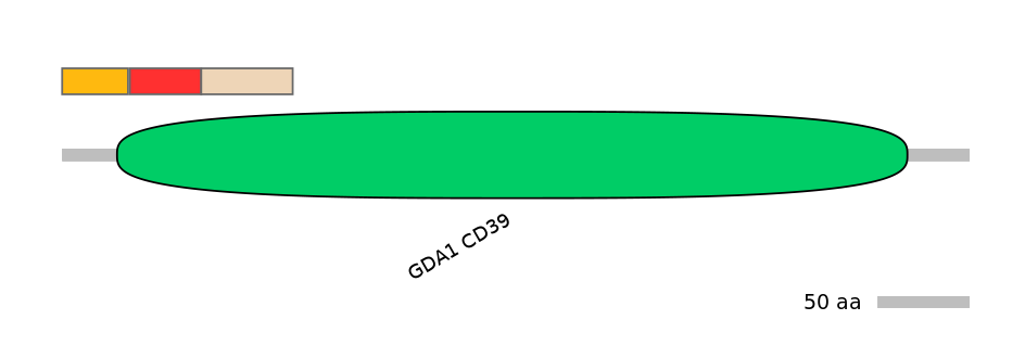 GgaEX1022499-INC