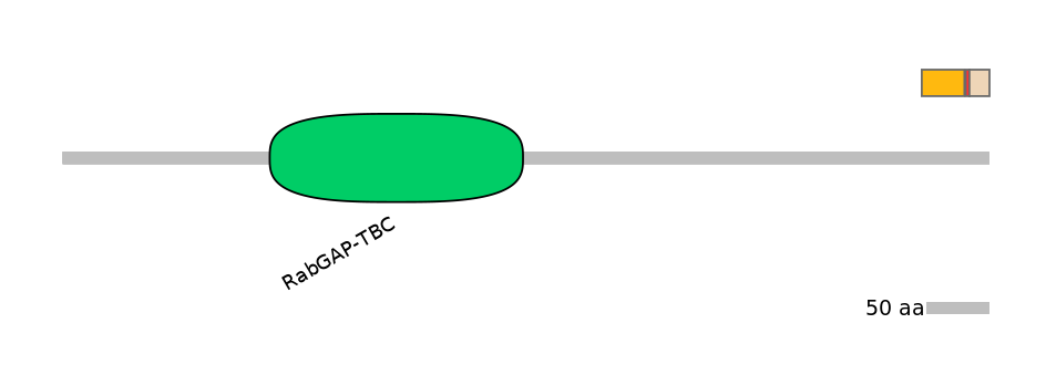 GgaEX1023233-INC