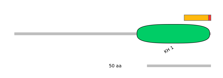 GgaEX1025676-INC