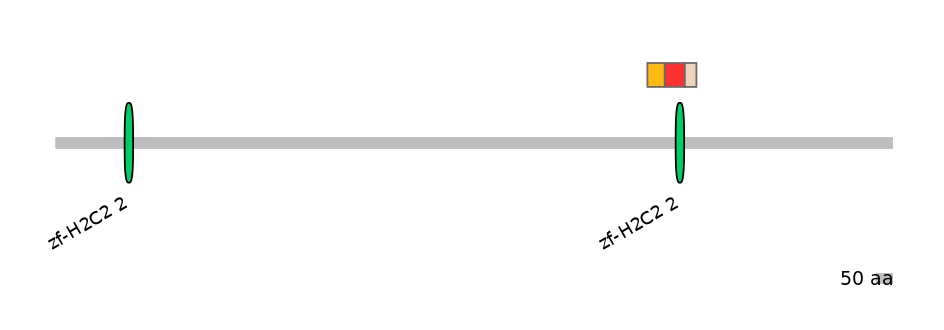 GgaEX1028733-INC