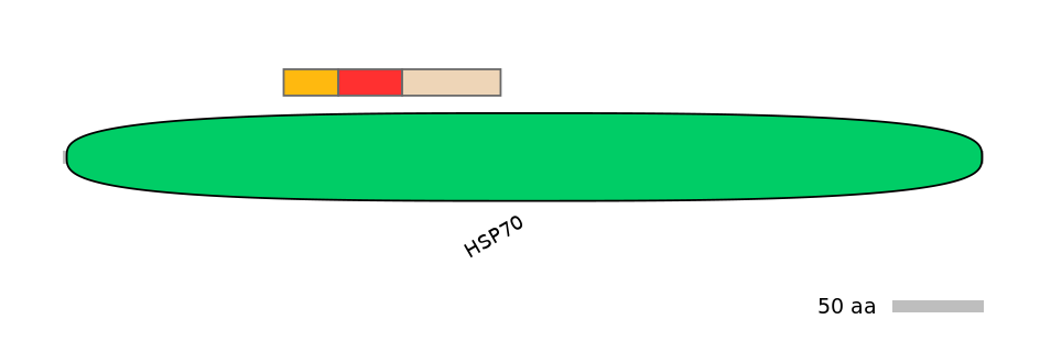 GgaEX1029210-INC