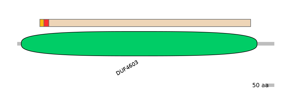 GgaEX1031636-INC