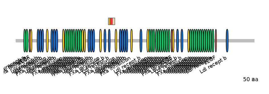 GgaEX1033889-INC