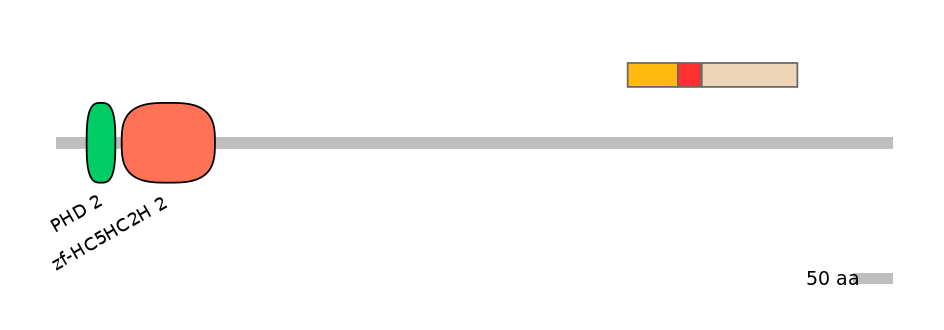 GgaEX1036487-INC