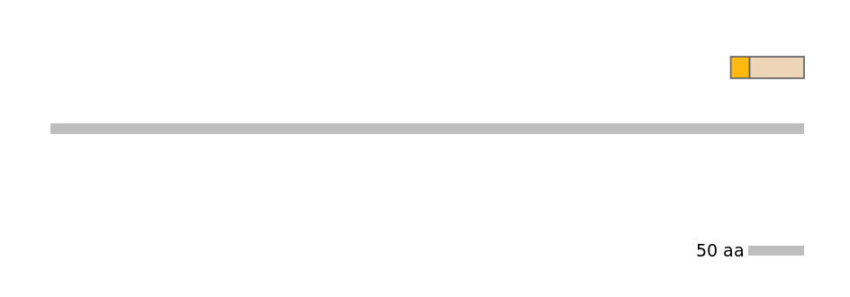 GgaEX1041153-EXC
