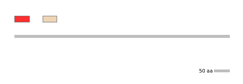 GgaEX1041155-INC