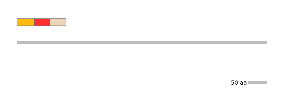 GgaEX1041156-INC