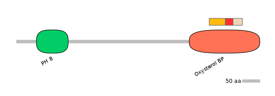 GgaEX1041433-INC
