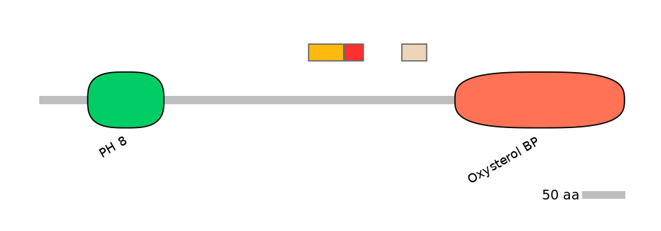 GgaEX1041434-INC