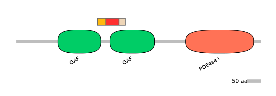 GgaEX1042698-INC