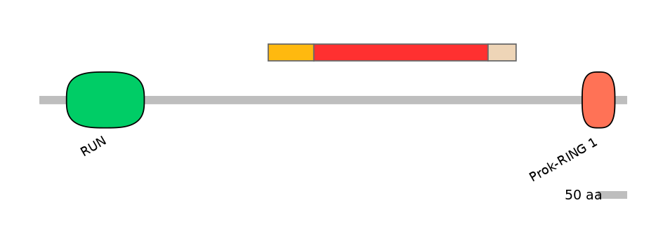 GgaEX1044497-INC